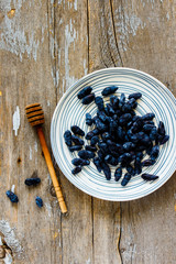 Fresh honeysuckle berries