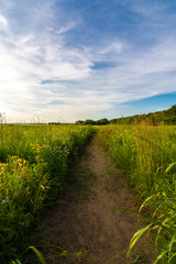 Fototapeta na wymiar Dirt path at sunset