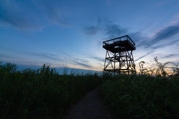 Fototapeta na wymiar Observation Tower at dusk