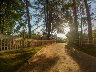 Manhã na estrada