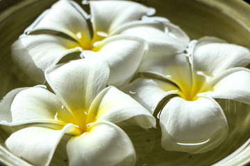 White flowers, spa