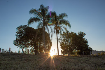 P&ocirc;r do Sol nas palmeiras