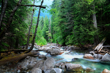 Obraz premium Tye river scenic creek in Northcascades national forest,washington