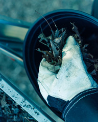 Filtered image close-up hand with gloves drop dried leaves and dirt into bucket from gutter cleaning