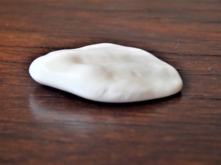 Photo of a shell taken at Brazil.