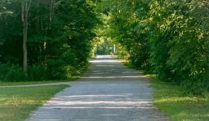 Obraz premium Long pathway in the park 