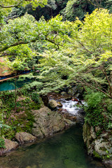 Hiking trail along Minoh river for Minoh falls