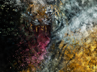 Angry Tiger
