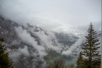 Beautiful view of misty mountain for background with copy space