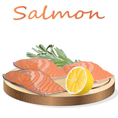 Raw salmon fillets with herbs on wooden dwsk. White background. Vector illustration