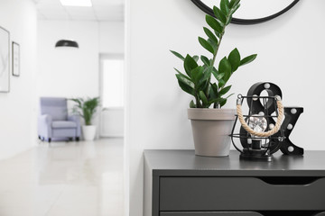 Pot with plant and stylish decor on table in hall