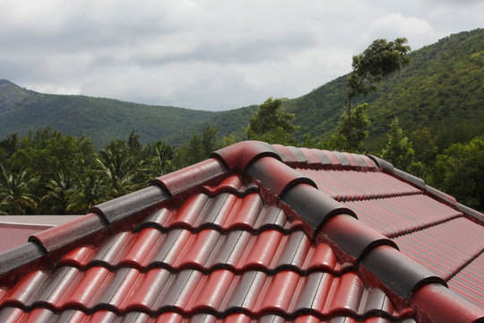 View of the forest area from roof top of guest house in Hasanur, Tamil Nadu - Karnataka border, India