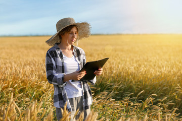 Farmer in field on sunny day