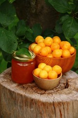 konfitüre aus mirabellen