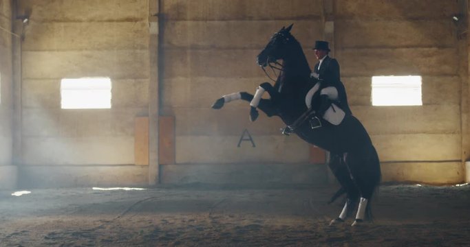 Cinematic slow motion of young male horsemanship master dressed in a professional apparel is practising exercises for competition of horse racing and dressage on a riding hall