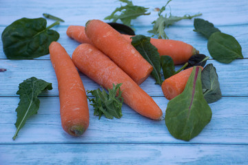 Ripe carrots with green salad leaves on a blue wooden table background. Cooking ingredients. Harvest