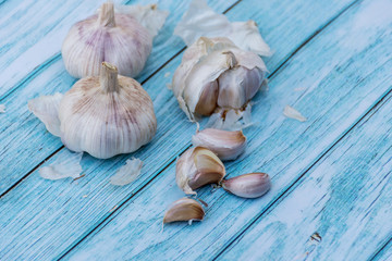 Fresh garlic on a blue wooden table background. Cooking ingredient. Harvest