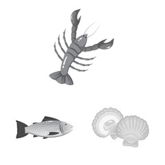 Vector design of seafood and healthy sign. Collection of seafood and ocean stock symbol for web.