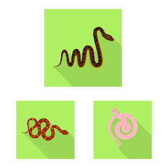 Isolated object of skin and reptile icon. Set of skin and danger vector icon for stock.