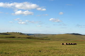 Obraz premium Rural landscape with harvested hay rolls in the foothills of the Altai mountains. Western Siberia. Russia