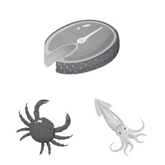 Vector illustration of seafood and healthy icon. Set of seafood and ocean stock vector illustration.
