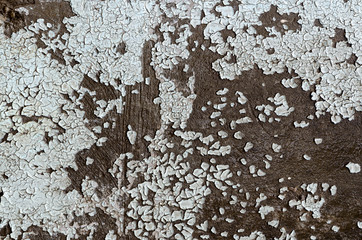 the old cement texture abstract empty wallpaper board