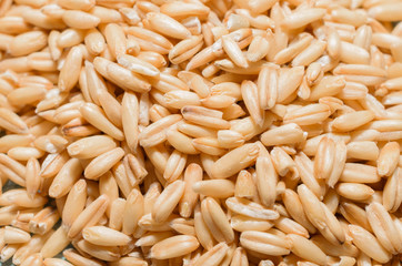 natural oat grains close-up, healthy eating concept, food background