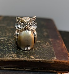 The silver figure of an owl