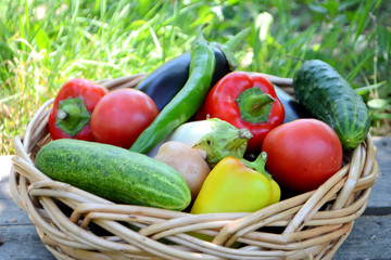 Different fresh organic vegetables from the garden in a wicker basket. Summer and autumn harvest. Healthy organic food concept