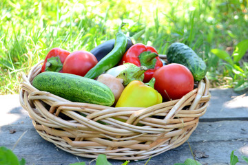 Different fresh organic vegetables from the garden in a wicker basket. Summer and autumn harvest. Healthy organic food concept