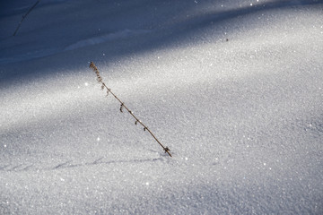 Light and shade on the sparkling snow