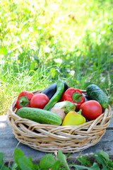 Different fresh organic vegetables from the garden in a wicker basket. Summer and autumn harvest. Healthy organic food concept
