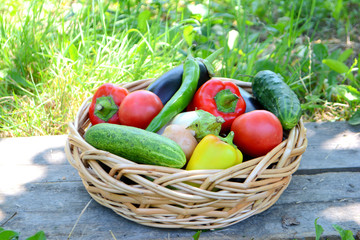 Different fresh organic vegetables from the garden in a wicker basket. Summer and autumn harvest. Healthy organic food concept