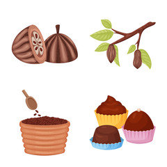 Vector design of cocoa and beans logo. Collection of cocoa and sweetness stock vector illustration.