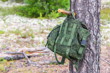Green tourist backpack is hanging on dark wood knot and in summer dry forest against background of fallen trees.