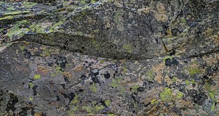 lichens on old stone surface close up. abstract natural background of stone and lichen. mineral with rough structure and lichen. mountain backdrop. Lichen rhizocarpon on stones. selective focus