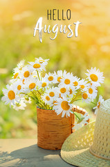 hello August. beautiful composition with chamomile flowers in Cup, braided hat in garden. Rural landscape background with Chamomile in sunlight. Summertime season. close up. soft selective focus - obrazy, fototapety, plakaty