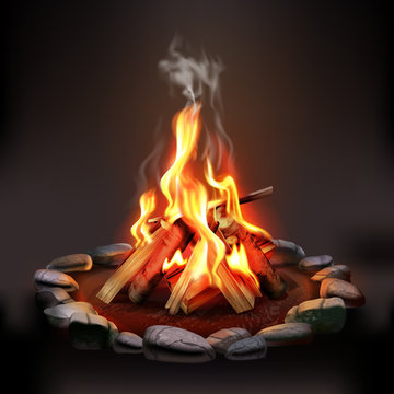 Burning Wood Campfire