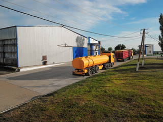 Modern bright trucks parked on country road