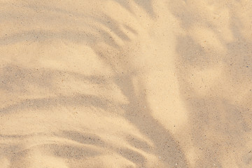 Golden beach sand on sunny day as background