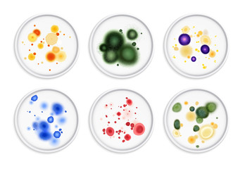 Moldiness Bacteria Colonies Set © Macrovector