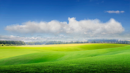 Obraz premium green field and blue sky