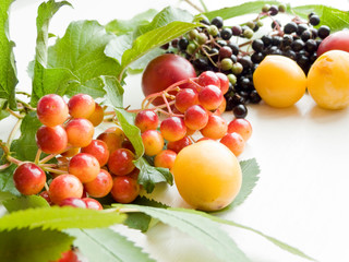 Berries on white