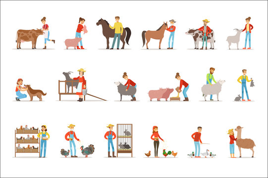 Breeding animals farmland. Farm profession worker people breeding livestock. Set of colorful cartoon detailed vector Illustrations
