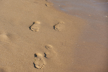Footprints in the sea sand.