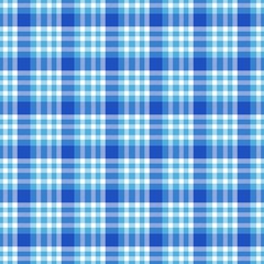 Seamless geometric gingham pattern. Abstract background. Blue, black and white stripes