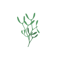 ink branch of mistletoe