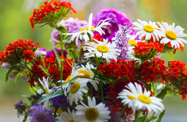 Bright bouquet of wild flowers with white daisies and red Campion on a green background. Close up. Red Maltese cross in the bouquet.