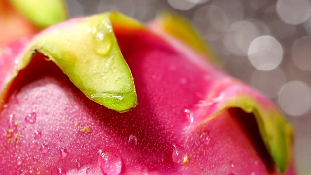 Water drop and splash on dragon fruit or pitahaya fruits in slow motion