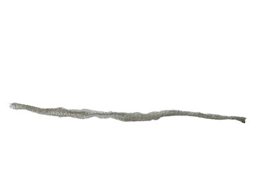 snake slough skin on white background